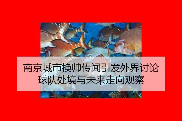 nan-jing-cheng-shi-huan-shuai-chuan-wen-yin-fa-wai-jie-tao-lun-qiu-dui-chu-jing-yu-wei-lai-zou-xiang-guan-cha-2-380.jpg
